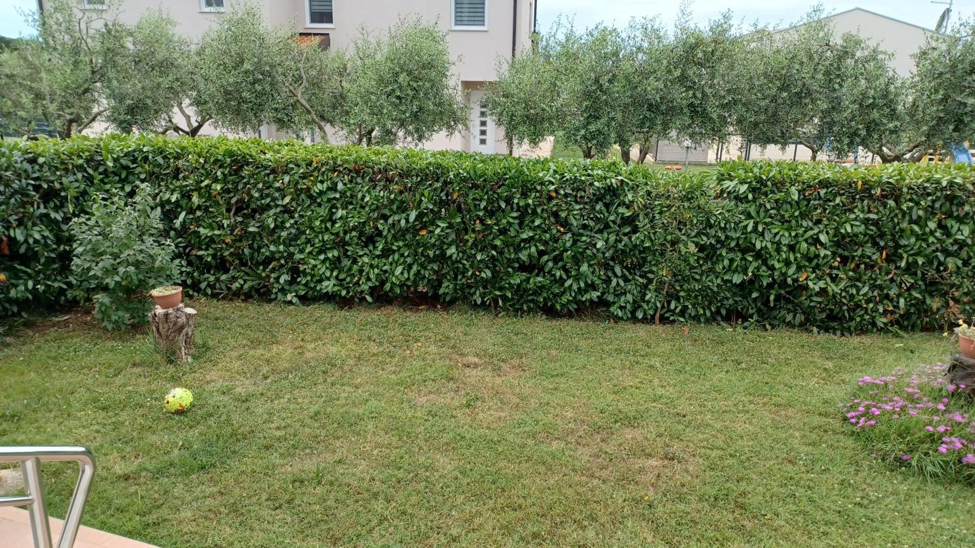 Apartments Villa Adamovic Umag Exterior photo